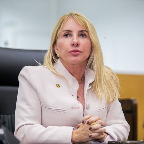 Ieda Chaves propõe doação de imóvel à Associação Pestalozzi em Guajará-Mirim