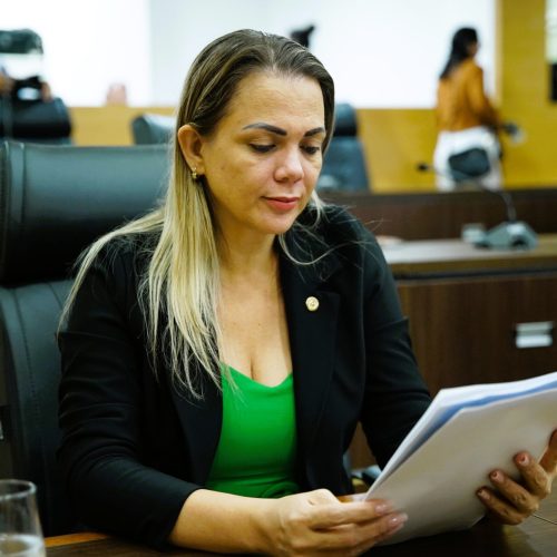 Com trecho alagado e população isolada, BR-425 entra na pauta da deputada Cláudia de Jesus