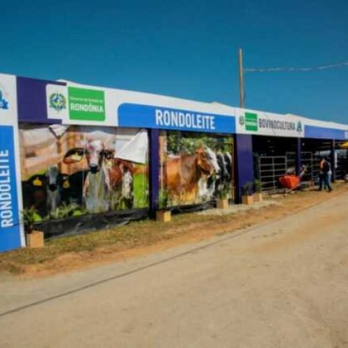 RondoLEITE vai expor plantel de animais certificados na Rondônia Rural Show Internacional