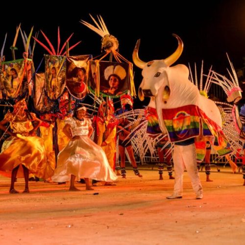 Boi-Bumbá Mimoso exalta a cultura e a resistência no Arraial Flor do Maracujá 2025