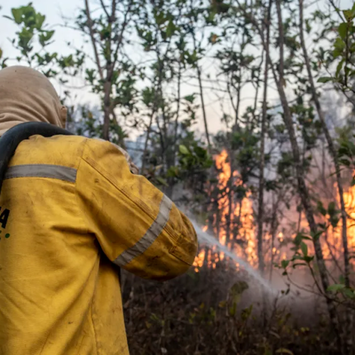 Brigadista do ICMBio — Foto: Mayangdi Inzaulgarat/ICMBio