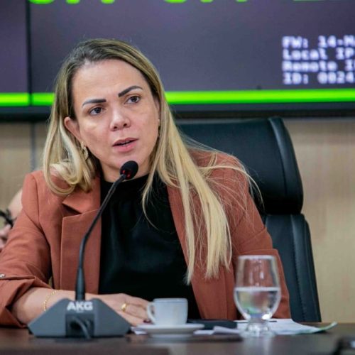 Deputada Cláudia de Jesus reforça mobilização por valorização dos servidores da saúde em reunião da Comissão