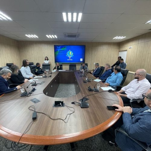 Comissão de agropecuária: Deputada Cláudia de Jesus debate logística de transporte de grãos em Rondônia