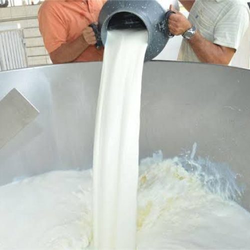 Cláudia de Jesus propõe estado de calamidade pública para enfrentar crise do leite em Rondônia