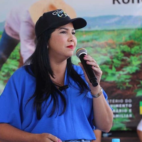 Deputada Federal Cristiane Lopes reforça apoio à Emancipação dos distritos de Rondônia em Audiência Pública na ALE-RO