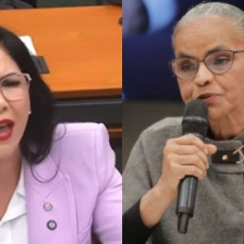 Deputada federal Cristiane Lopes critica ministra do meio ambiente em audiência de comissão e cobra fim de embargos
