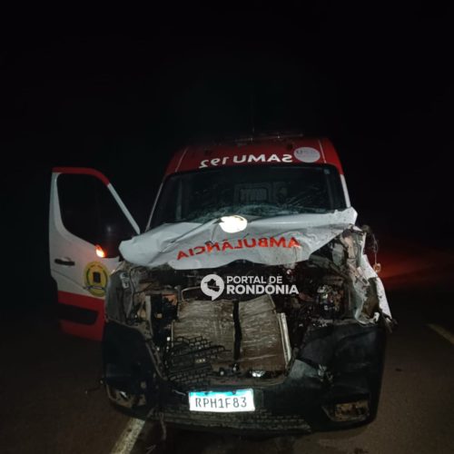 Socorristas do Samu ficam feridos após ambulância bater em vaca na BR-364