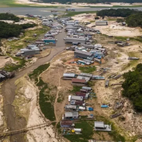 Crise climática: adolescentes levam ao papa demandas da juventude