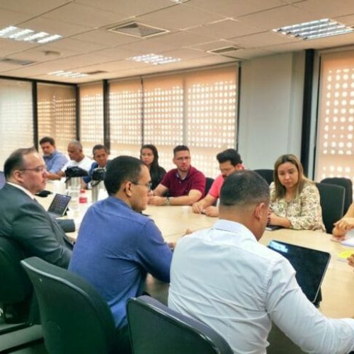 Governo de RO apresenta planos de enfrentamento à crise ambiental ao Tribunal de Contas