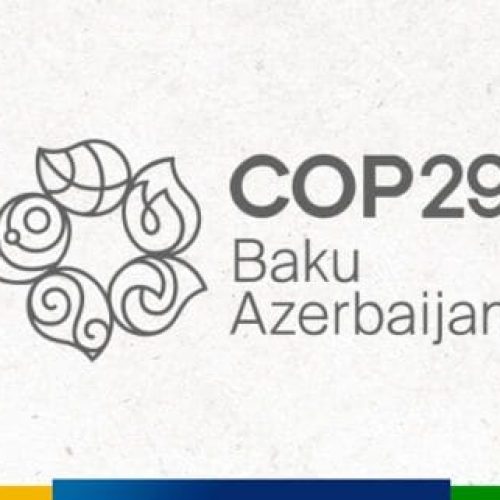 Governo de RO participa da COP29 na defesa por ações que priorizem sustentabilidade e inclusão