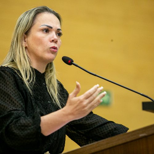 Nova lei sancionada por Lula valoriza servidores, afirma Cláudia de Jesus