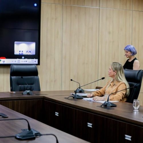 Comissão debate plano de combate à violência contra a mulher em reunião conduzida por Cláudia de Jesus