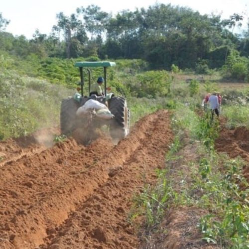 Alan Queiroz destina R$ 52 mil para aquisição de implementos agrícolas em Theobroma