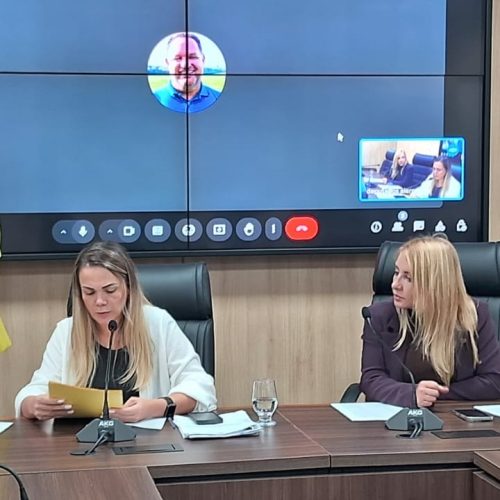 Fila de caminhões em Rondônia é tema de debate na Comissão de Agropecuária e Política Rural da Alero