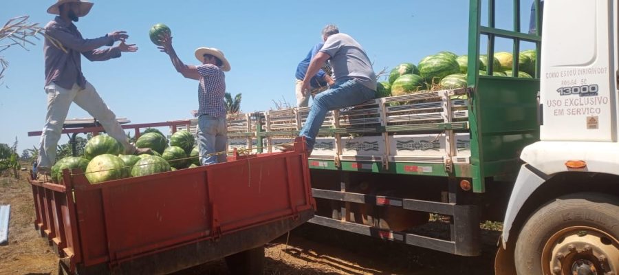 Porto Velho lidera o agronegócio de Rondônia e Agrotec 2026 será a vitrine da força produtiva do município