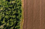CMN adia exigência do Prodes para crédito rural
