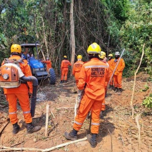 Operação Temporã: ação conjunta reduz em mais de 70% áreas atingidas por incêndios no Parque Estadual Guajará-Mirim