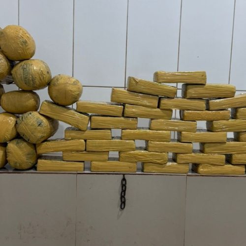 POLÍCIA MILITAR EM CACOAL APREENDE CERCA DE 50 KG DE MACONHA