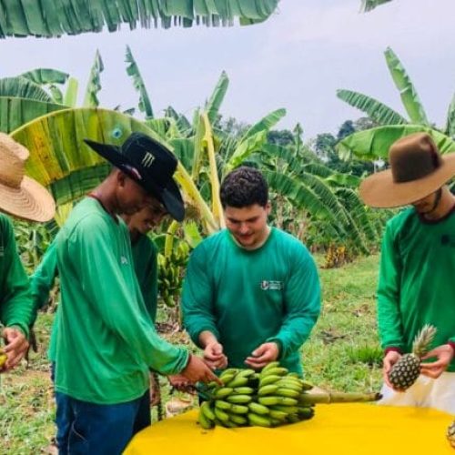 Inscrições para cursos profissionalizantes em bioeconomia, em Porto Velho, seguem até sexta-feira, 6