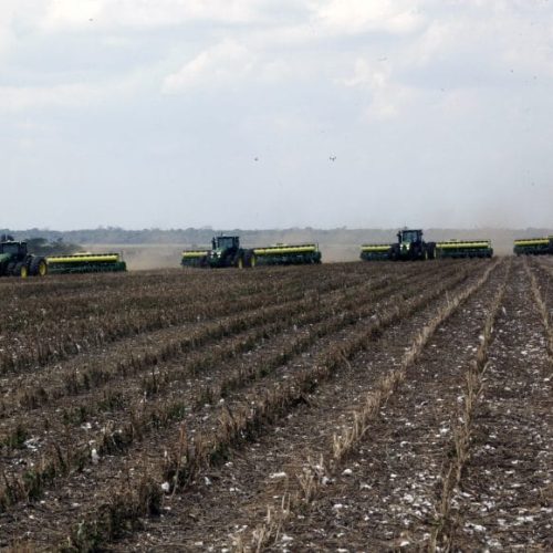 Safra de soja em Rondônia aproxima-se dos 80% de área colhida com expectativa positiva para 2025