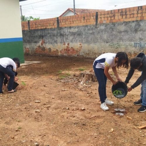 Ações de enfrentamento à crise hídrica do governo de RO envolve estudantes da rede pública