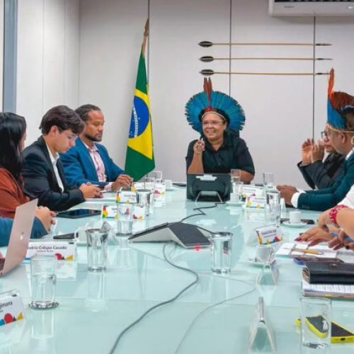 Rondônia amplia diálogo nacional sobre políticas públicas para povos indígenas em Brasília