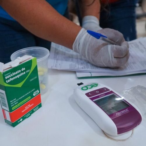No Dia Mundial de Luta contra a Malária, governo de RO destaca avanços no controle da doença no estado