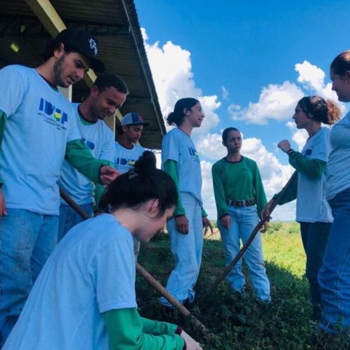 Dia do Técnico Agrícola é celebrado com vasta programação, em Pimenta Bueno
