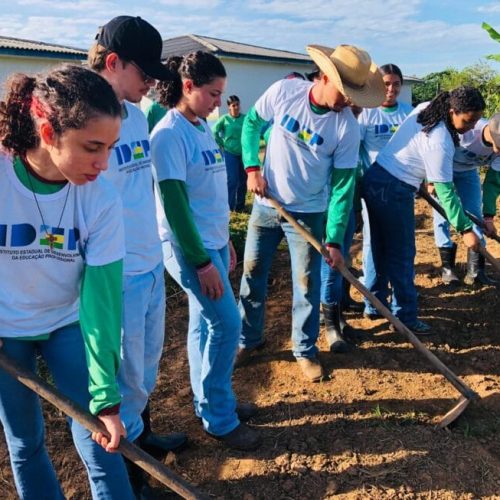 Alunos da educação rural aprendem com a rotina do campo
