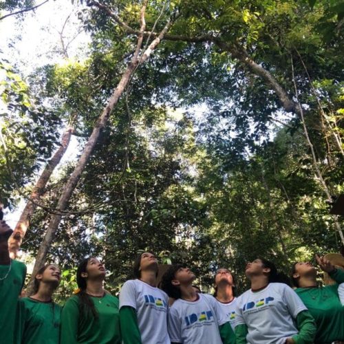 Digitalização do agronegócio e futuro das profissões no campo são temas de workshops na Rondônia Rural Show Internacional