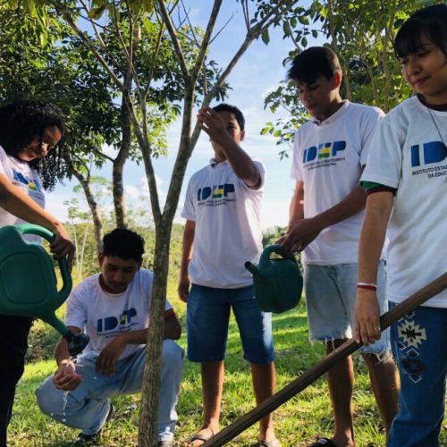 Educação profissional de Rondônia atrai estudantes de outros estados interessados em cursos técnicos voltados ao agronegócio