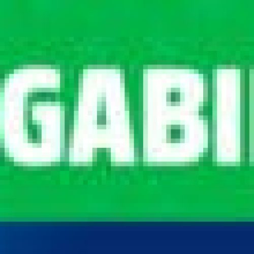 Governo de RO amplia oportunidades de emprego com mais de 2,8 mil vagas pelo Sine Estadual