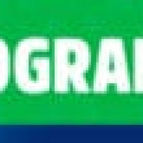 Rondônia fortalece a cacauicultura com concursos e apoio aos produtores