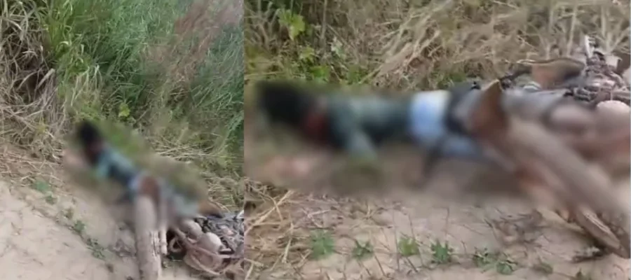 Foto: Reprodução / Redes Sociais