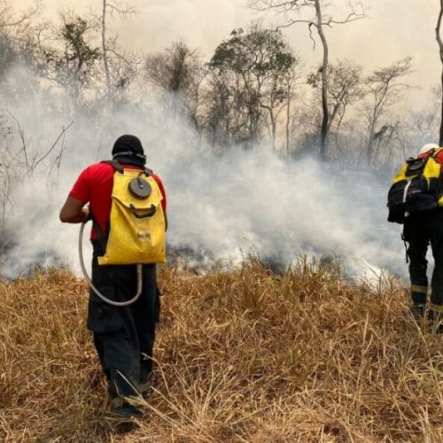 Força-Tarefa do Corpo de Bombeiros combate incêndios florestais em Alvorada do Oeste