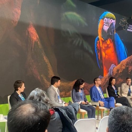 Governo de RO apresenta avanços no Cadastro Ambiental Rural e Programa de Regularização Ambiental durante a COP 29