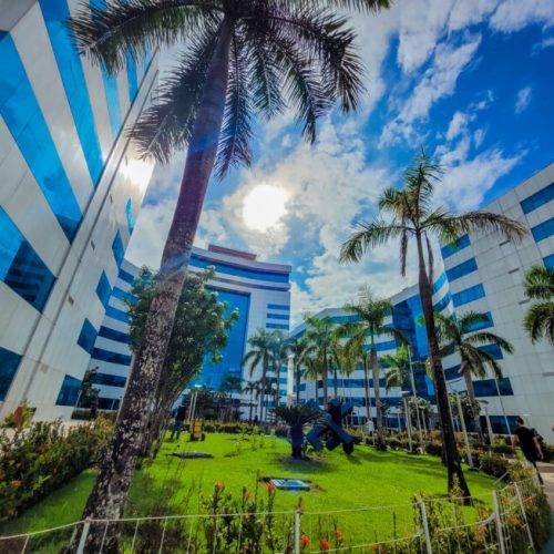 Decreto estabelece ponto facultativo no Carnaval 2026 e garante continuidade dos serviços essenciais