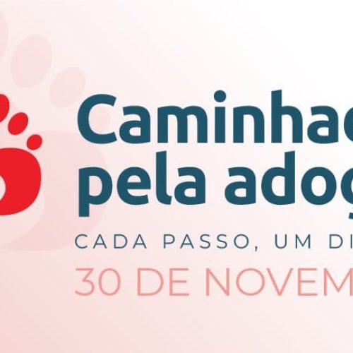 Prefeitura de Porto Velho e Tribunal de Justiça realizam “Caminhada pela Adoção”