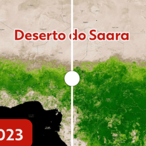 Saara fica mais verde e com mais água após chuvas incomuns; VEJA