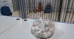 Casal é preso suspeito de fraudar pesagem de produtos em supermercado de Porto Velho