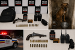 PM apreende arma artesanal, munições e constata maus-tratos a animal em Vilhena