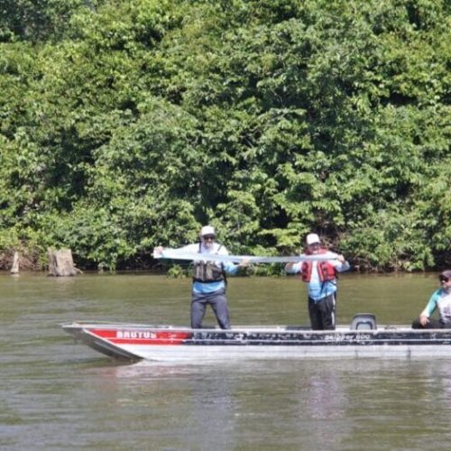 Inscrições abertas e gratuitas para o Campeonato de Pesca Esportiva Gigantes de Rondônia