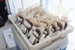 Alta Floresta d’Oeste e Porto Velho registram mais de 240 bolsas de sangue coletadas em ações da Fhemeron