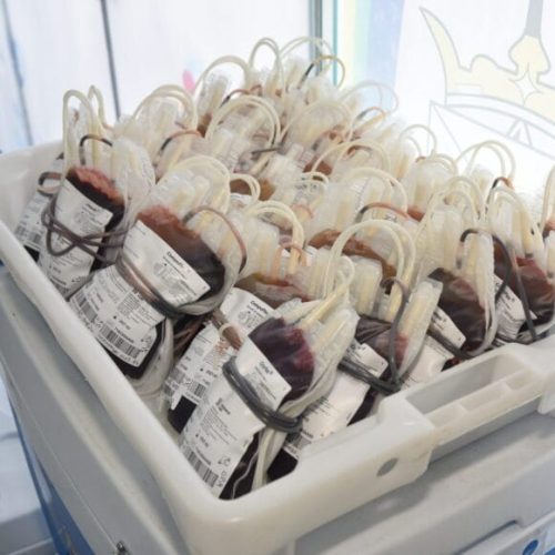 Alta Floresta d’Oeste e Porto Velho registram mais de 240 bolsas de sangue coletadas em ações da Fhemeron