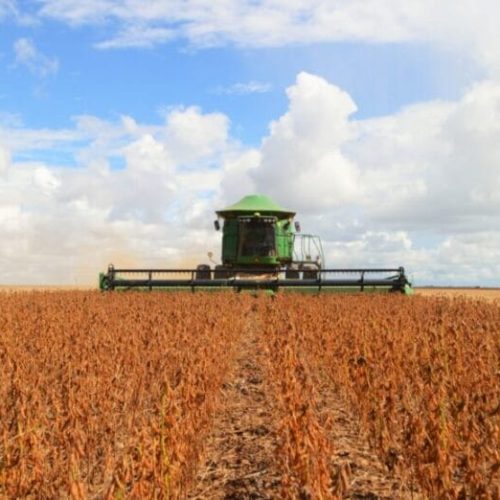 Produção de grãos tem resultado favorável e movimenta economia de Rondônia em 2024
