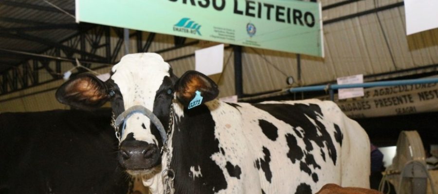 Concurso evidencia avanços da pecuária leiteira impulsionados pela assistência técnica em todo o estado