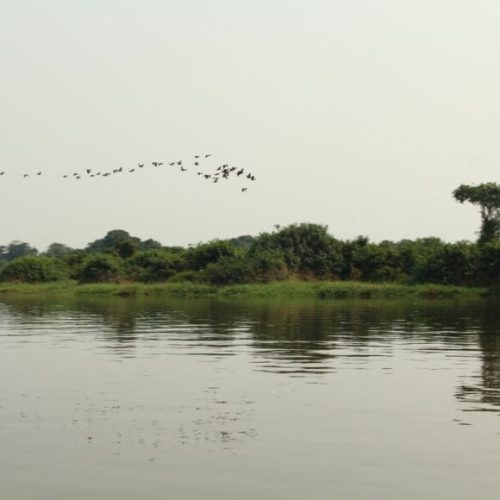 Etapa estadual da Conferência Nacional do Meio Ambiente discutirá cinco eixos temáticos