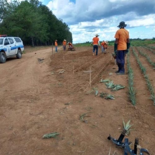 Rondônia atinge primeiro lugar nacional em percentual de reeducandos trabalhando 