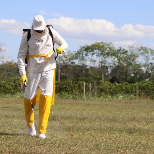 Decreto que regulamenta Lei Estadual de Agrotóxicos garante saúde e ampla proteção ambiental em Rondônia