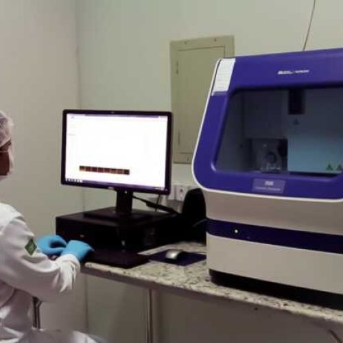 Análise de DNA desenvolvida pela Politec garante a identificação de vítima desaparecida há mais de 10 anos